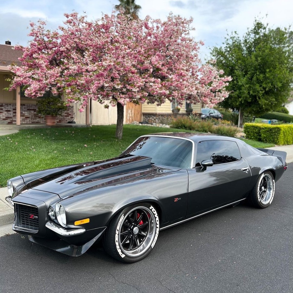 𝑾𝒐𝒓𝒍𝒅𝑾𝒊𝒅𝒆𝑪𝒂𝒓𝒔™ tweet media