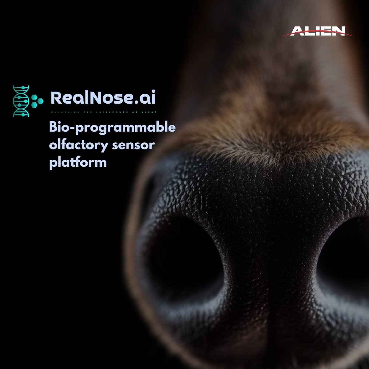 🎉 #RealNoseAI secures a €100,000 NATO DIANA 2025 Grant! This AI-powered bio-programmable olfactory sensor replicates canine scent detection, enabling applications in diagnostics, biopharma, security &amp; more. 🚀 Learn more: alientt.com/clients/realsn… #Innovation #NATODIANA