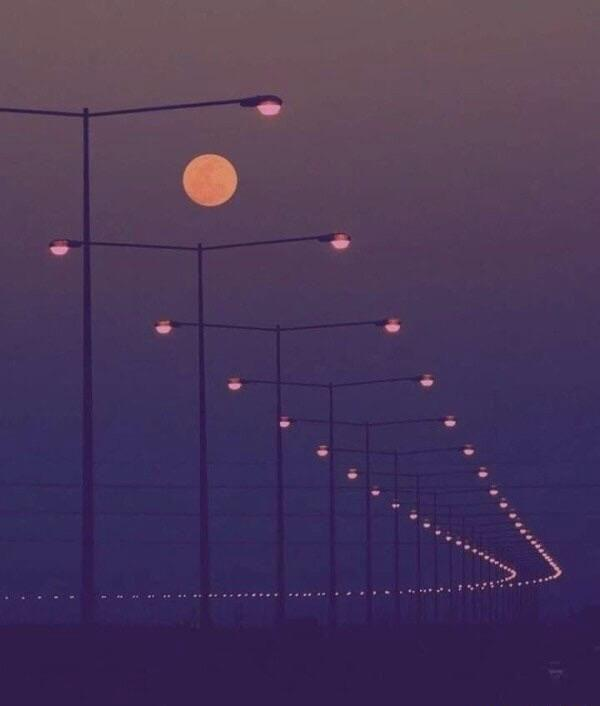 A photograph by Saravanan Sadasivam