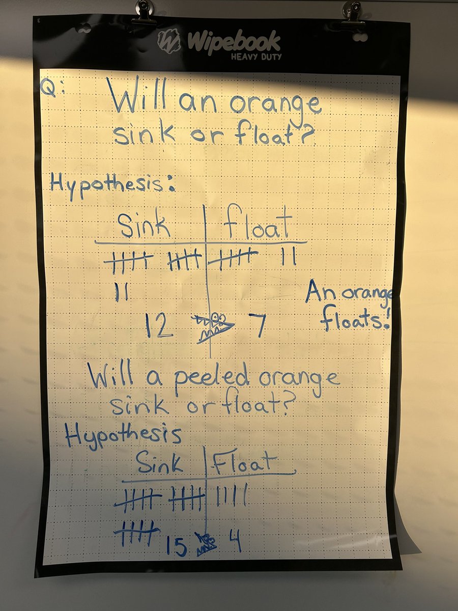 Robyn Matheson (@mrsrmatheson) on Twitter photo Together we read “The Christmas Orange” and discussed the importance of being thankful for all our gifts. Next, we did an orange experiment. We followed the scientific method and tested out our hypotheses to see if it would sink or float. <a href="/StGiannaOCSB/">St. Gianna OCSB</a> Together we read “The Christmas Orange” and discussed the importance of being thankful for all our gifts. Next, we did an orange experiment. We followed the scientific method and tested out our hypotheses to see if it would sink or float. <a href="/StGiannaOCSB/">St. Gianna OCSB</a>
