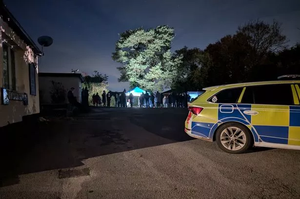 David Atherton tweet media