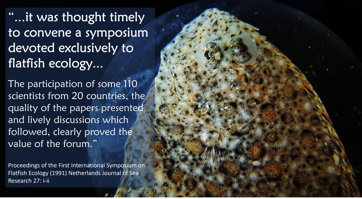 benciotti's tweet photo. It was a pleasure to be back at the International Flatfish Symposium last month, this time at @WUR.  The symposia have provided a valued research community since PhD days. Pleasure to see @PlymUni PhD student @marion_ldp  present this time :) https://t.co/aA5fwABvSP