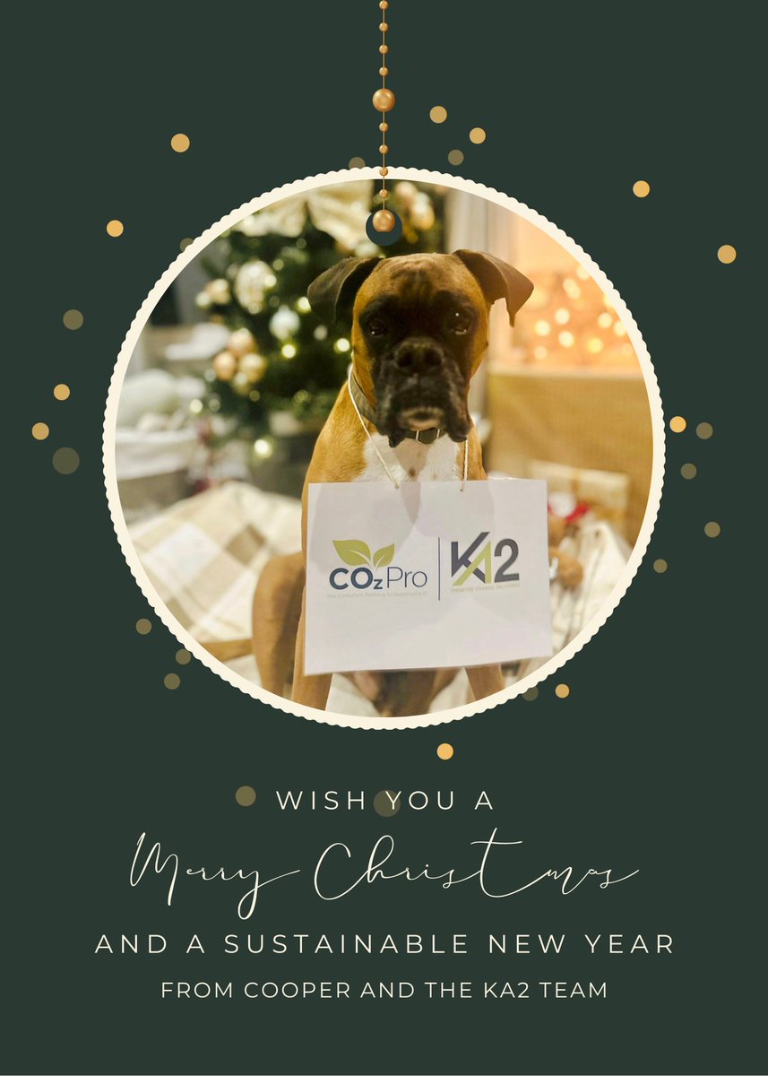 🎄Merry Christmas from all of us at KA2... and our Chief Happiness Officer, Cooper! This year, Cooper and the KA2 team wish you a joyful holiday season and a Sustainable New Year!
#MerryChristmas #HappyHolidays #SustainableLiving #KA2 #CooperSaysHi