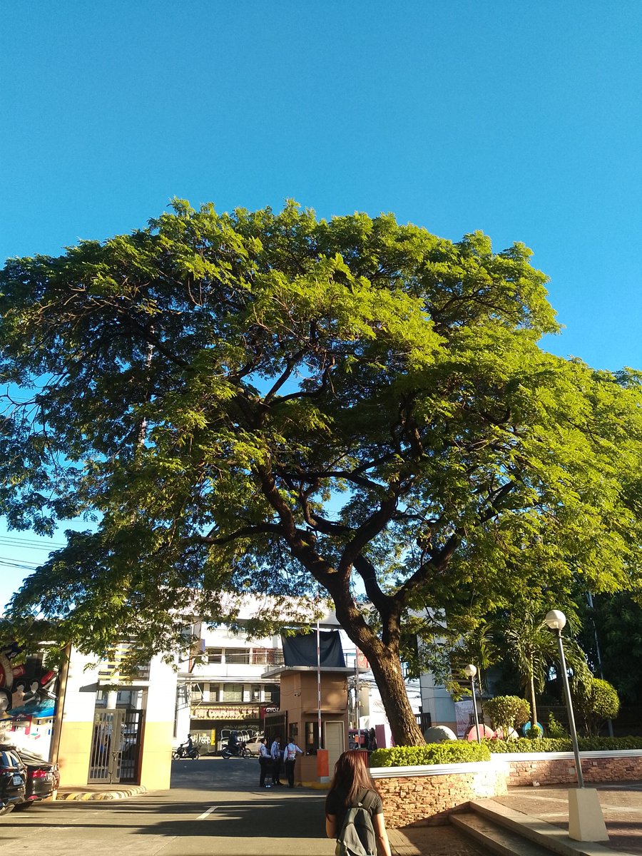 First sem's finally done! 😵‍💫 As a 3rd-year college student, I can finally breathe and get back to do some arts!