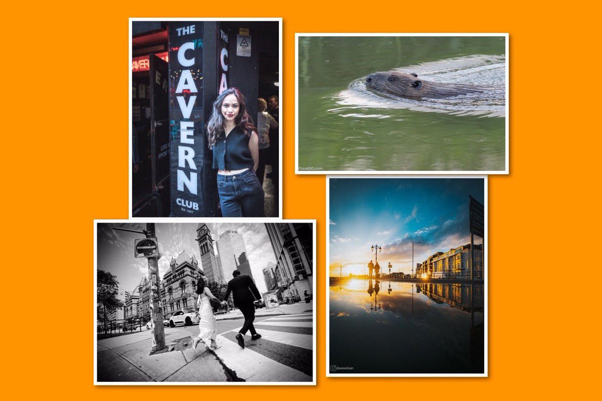 BreakGlassMag's tweet photo. Our 2024 Through the Lens gallery is live now - head to the website for full collection...
https://t.co/O9aHb4c3v0
Huge thanks to all contributors 🙏🏼
📸 @HMPhotography29 @NigelKingPhotos @mullinsphotos @KeatsianOrphan @snapperchap @iso400photo @stevenmedephoto @16beasleyst &amp; more https://t.co/7LdDfymAwl