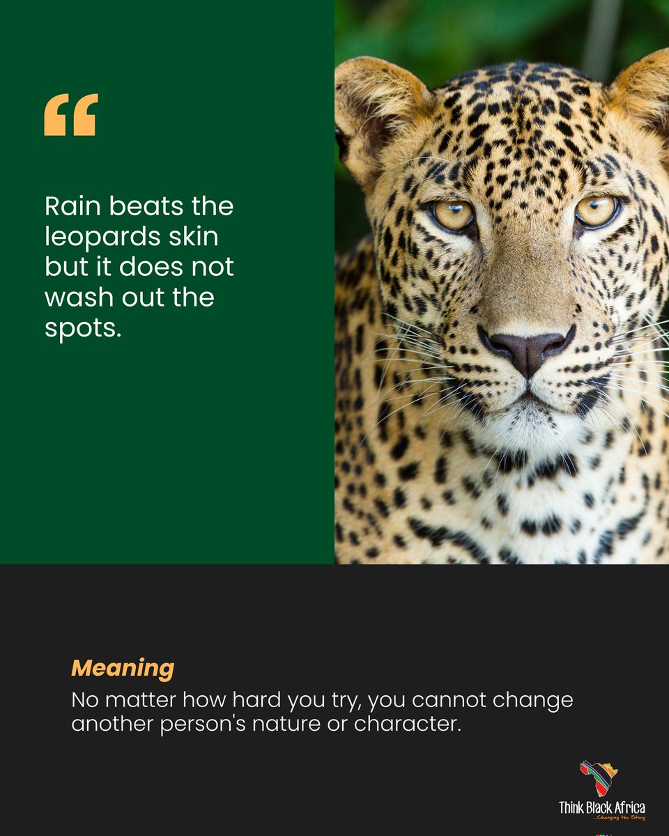 ThinkBlackAfric's tweet photo. https://t.co/n3ROzADphx