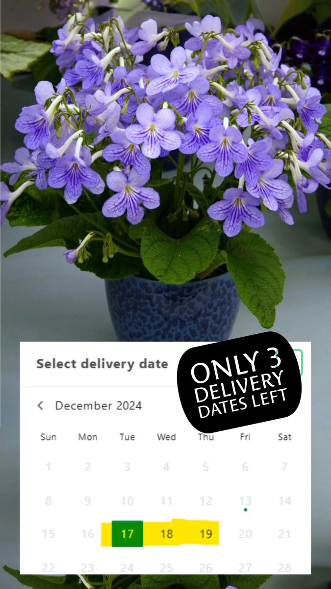 Dibleys Nurseries tweet media