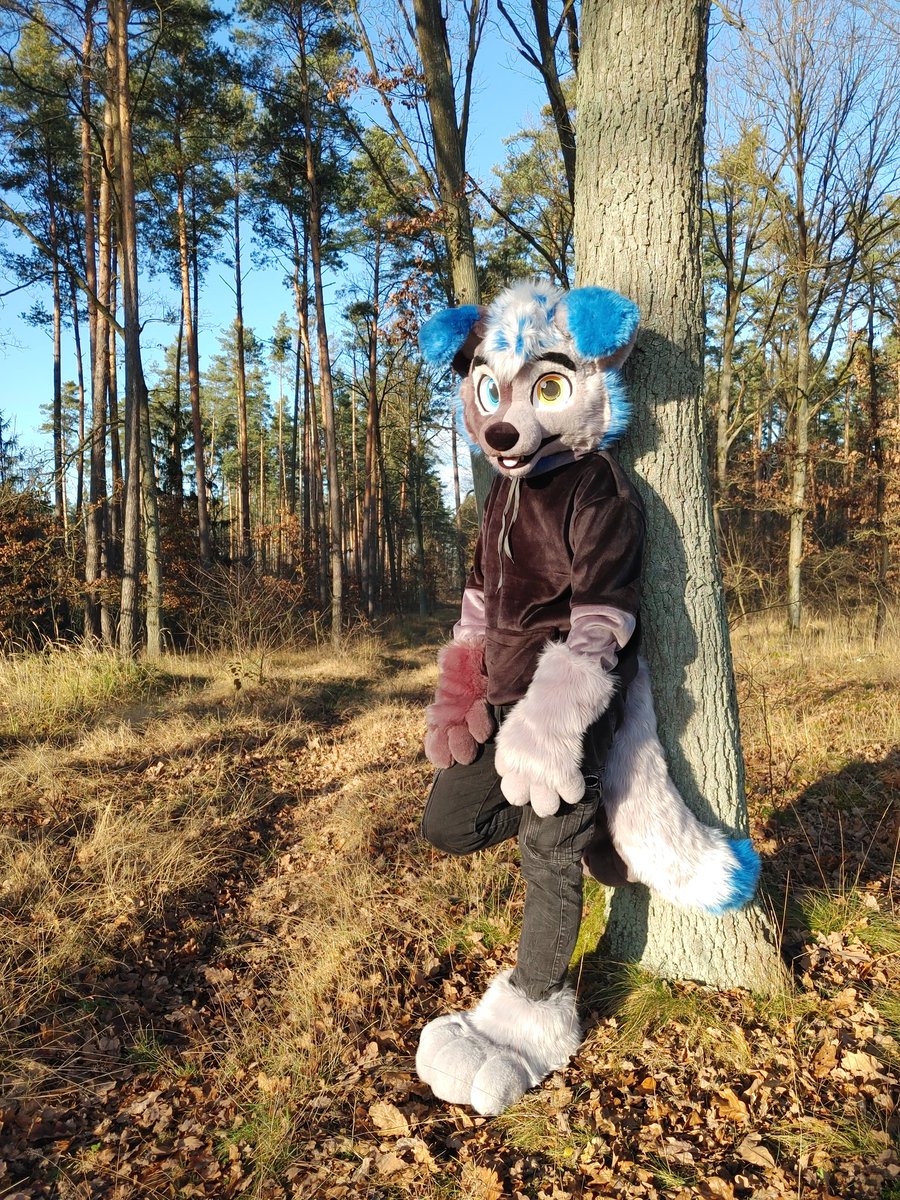 Another photo in the forest. I love the forest
But now I want snow and Christmas spirit, but there is not even a hint of snow in my town. I already want to take some Christmas photos 👉👈
Have a nice #fursuitfriday everyone❤️
.
 #furries #fursona #furry #fursuiter #fursuit
