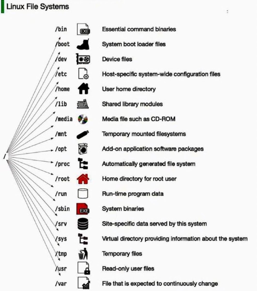 Security Trybe tweet media