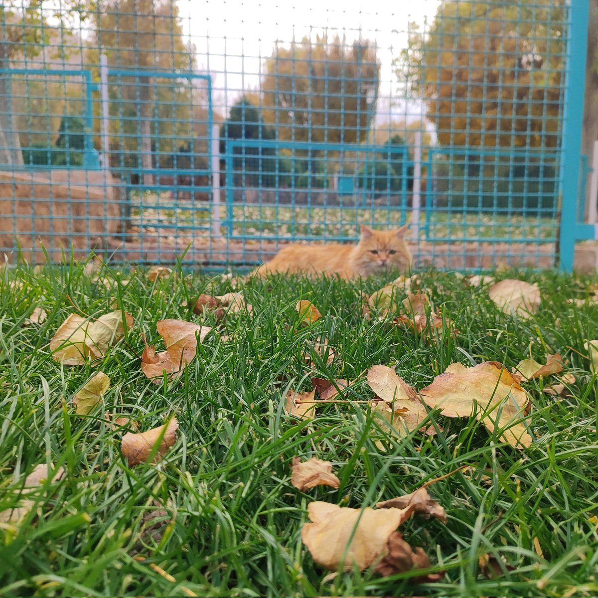 ببخشید که خوب عکس نگرفتم ولی این خوشگل خانوم خیلی جذاب با ابهت بود :)))