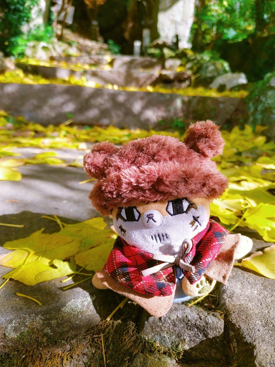 dommy925's tweet photo. フォゼちゃと紅葉🍁
#フォゼ尾といっしょ https://t.co/pjpcLbnBEK
