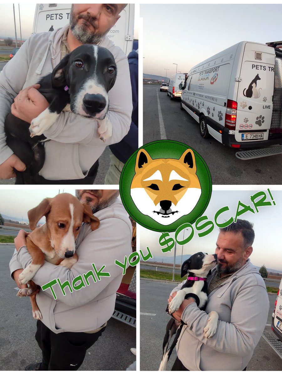 oscar_shibainu's tweet photo. WOOF! Thanks for believing that a decentralized and charitable community can be stronger than bigger, centralized projects. @k9_rescue @varietyvic @kabosumama @VitalikButerin 

#OSCARMYSTRONG https://t.co/dcsSQPzbaq