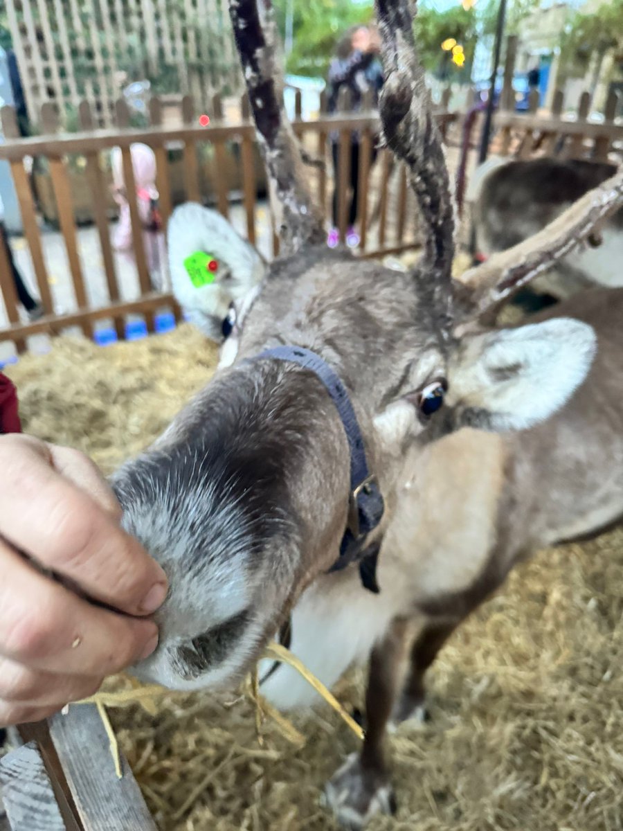 Right then. The Christmas countdown is officially on. Which means it’s time for… a quiz. 🎁

So, grab a mince pie and get ready for question no.1 (and just to keep you on your toes we'll be chucking in a drink on us for one lucky winner a day between now and the 23rd Dec.)

How