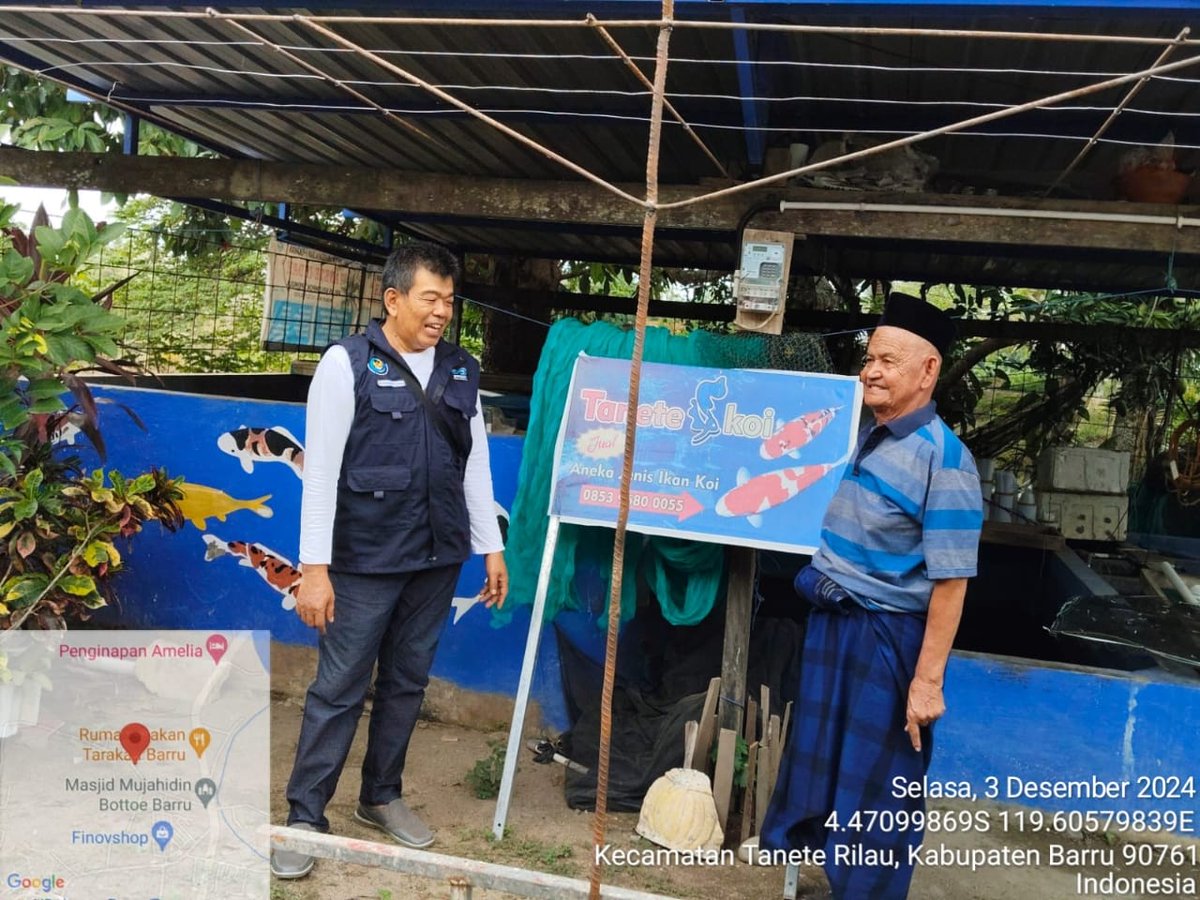kamaruddin_ppl's tweet photo. Selasa 03/12/24, Kamaruddin S. Pi, Kab. Barru, (Raopong) Pokdakan Tanete Indah, Ikan Hias Sebanyak 275 ekor, Harga Rp 30.000/ekor
#GiatLuhkanSatminkalMaros
#Barru @BRPBAP3_Maros
#Produksi https://t.co/B8s7iX3CHb