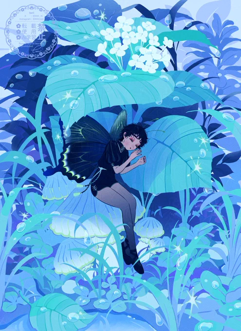 あまやどり 
