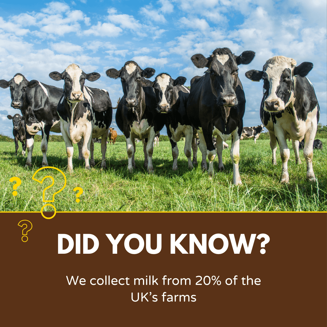 gregorydist's tweet photo. We have been collecting milk from farms since the 1980s working on behalf of a range of dairy companies. Every day we collect milk from 20% of the UK's dairy farms.

#milkcollection #milkhaulage #deliveringwinners https://t.co/Ai5mGfBntk