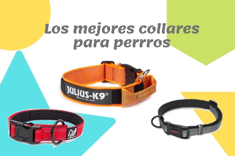 guaudogweb's tweet photo. 🥇Los Mejores⚡【COLLARES PARA PERROS】2020✅

Recuerda elegir un collar que aporte seguridad y al tiempo sea cómodo para tu perro mientras disfrutamos de nuestro paseo.

✅¡ENTRA Y MEJORA LA VIDA DE TU PERRO!✅

https://t.co/b1yLgp04NO https://t.co/IV9LJOOG0p