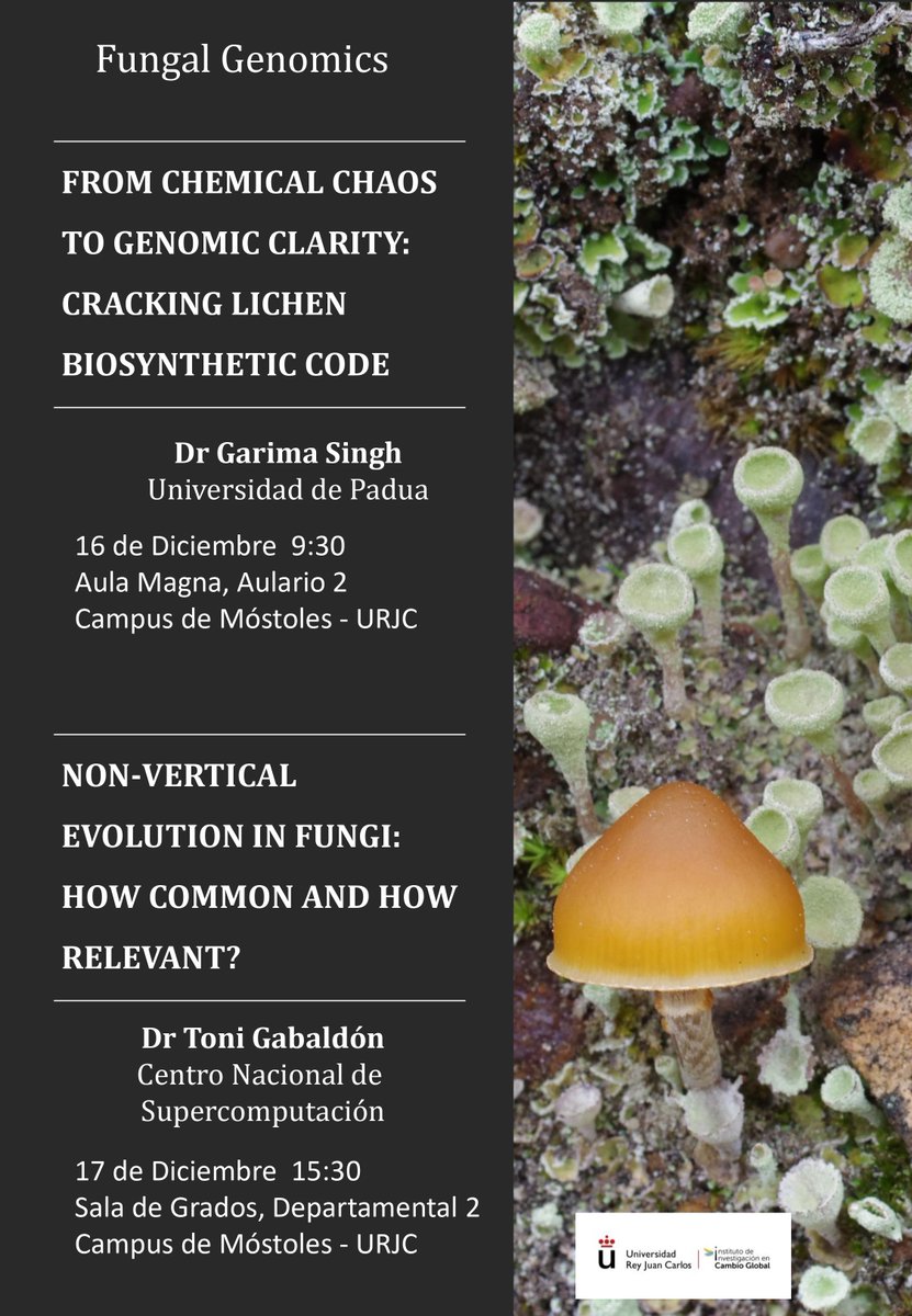 🍄 Next week there will be two open #talks of the #FungalGenomics #Workshop! They will take place on Monday 16 and Tuesday 17 . Check out the flyer for more information👀👇🏽