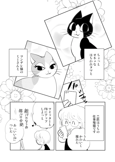 オネエなハチワレ猫タマにツンデレ三毛猫のミーさんのフォト事情(笑)
1/2
#タマたま猫生活 