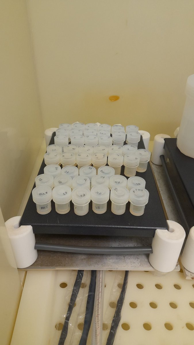 Crossing the last things off the 2024 to-do list.  #Strontium isotopes
<a href="/ESEImperial/">Imperial Earth Science & Engineering</a>