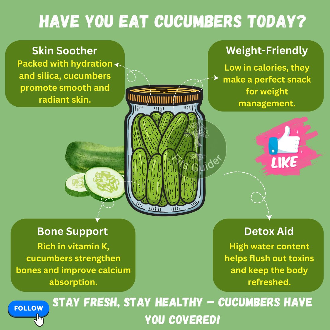 fitsguider's tweet photo. Stay fresh with cucumbers! 🥒 They hydrate your skin, support weight management, strengthen bones, and help detox your body. A refreshing snack that does wonders! #CucumberBenefits #HealthySkin #BoneSupport https://t.co/AtnldUIUkE