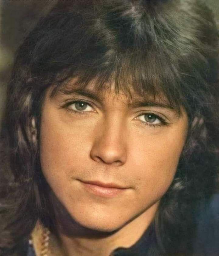 jessbythebsb's tweet photo. Literally just one look at our beautiful David makes Everything better with his sweet voice 😍💞💞💞💞#DavidCassidy #welove #actorsinger https://t.co/a7a0iqEkl2