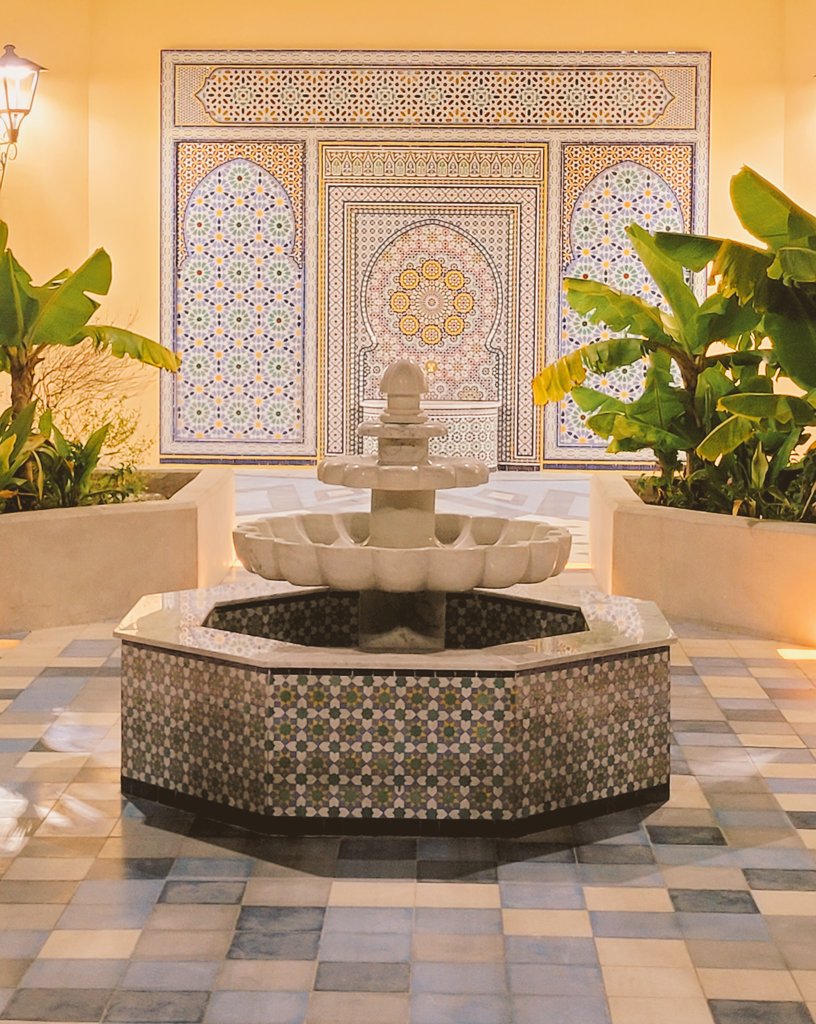 Juan Pippia tweet media