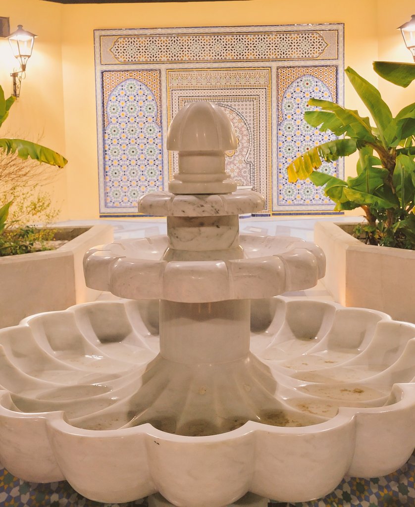 Juan Pippia tweet media