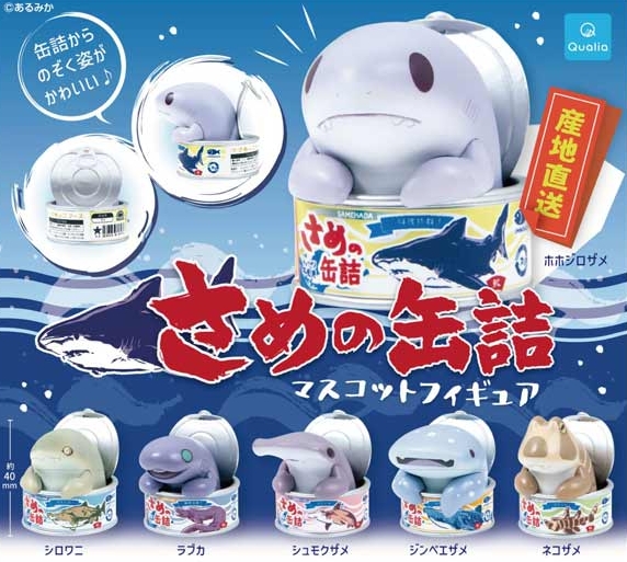 gachaxpompom's tweet photo. 『さめの缶詰 マスコットフィギュア』1月発売予定。
缶詰からのぞく姿がかわいい♪ 
https://t.co/YRwOO1a7oa https://t.co/ZyVg1JVgrh
