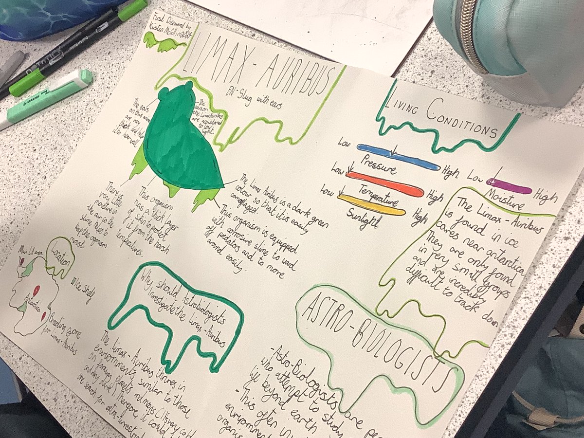 CHSLearnTeach's tweet image. Some fantastic extremophile designs from 2A as part of our Space unit! #Engageandchallenge