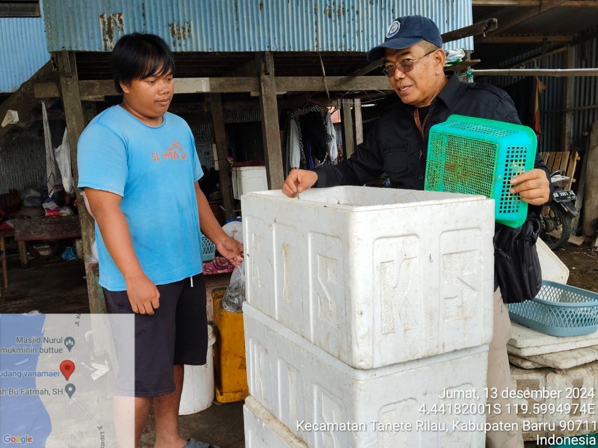 kamaruddin_ppl's tweet photo. Jum'at 13/12/24, Kamaruddin S. Pi, Kab. Barru, (H.Mansur) Pokdakan Kaluku Loloe, Penjualan Udang Vaname Sebanyak 250 kg, Harga Jual Rp 65.000/kg.
#GiatLuhkanSatminkalMaros
#Barru @BRPBAP3_Maros
#Produksi https://t.co/qX82qSIDdp