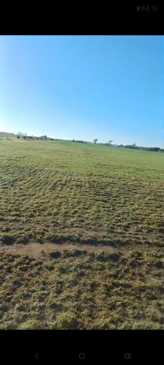 chofri77 tweet media