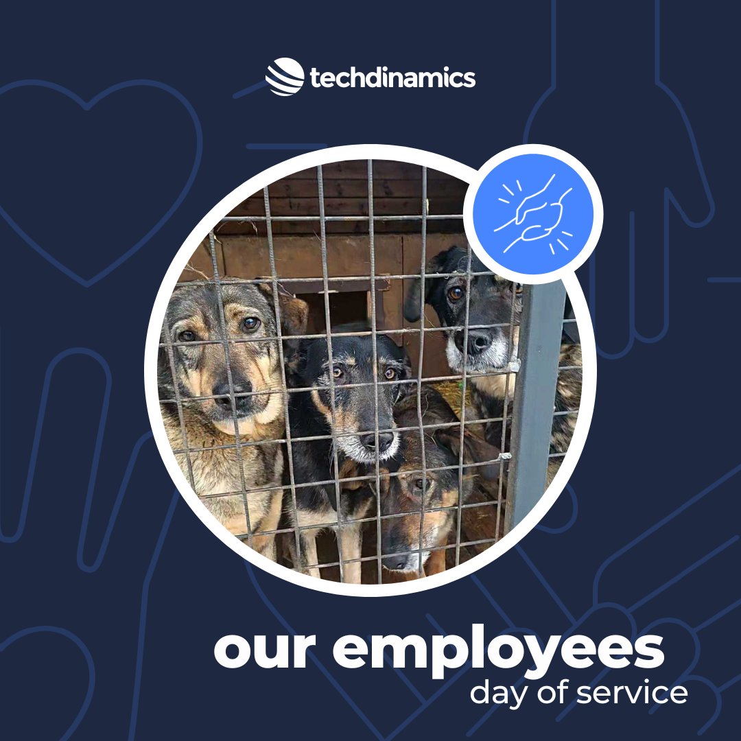 tech_ship's tweet image. Cue the Tissues 🐾 This past Monday, a group of our amazing Techdinamics team —Alexander Nevidomiy, Olga Sidorenko, Artem Karsonov, Vadim, Polina Nevidomaya and Yuriy Kim—set out on a heartwarming mission! #Techdinamics #DayOfService #LoyalFriendShelter #GivingBack #AnimalLovers