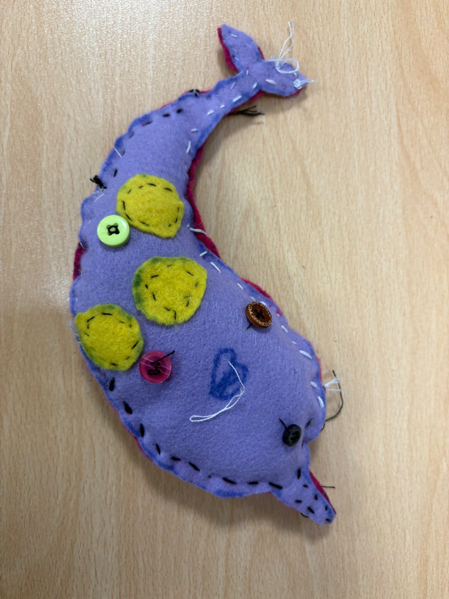 Design and Technology project in Year 3 - creating 3d teddy bears. Some fantastic work!