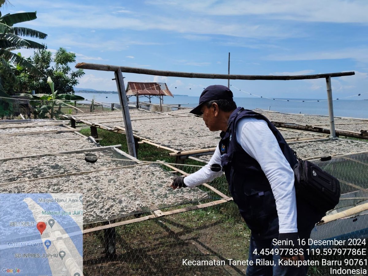 kamaruddin_ppl's tweet photo. Senin 16/12/24, Kamaruddin S. Pi, Kab. Barru, ( Muhtar Useng) Poklahsar Surya Matene., Ikan Kering Sebanyak 290 kg, Harga Rp 60.000/ kg. 
#GiatLuhkanSatminkalMaros
#Barru @BRPBAP3_Maros
#Produksi https://t.co/lZU1SEXqaY