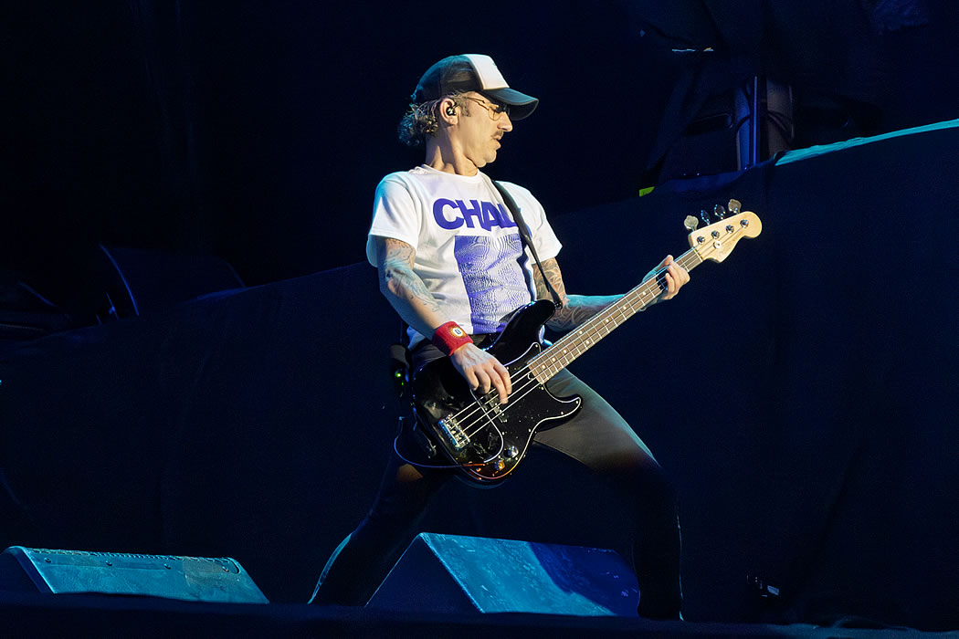 Volbeat – 07-12-2024 – São Paulo (Allianz Parque) 

Show de imagens dos dinamarqueses em SP, por Felipi Noguerol 🎼

metalrevolution.net/br/2024/12/12/…

<a href="/midiorama/">Midiorama</a> <a href="/MoveConcertsBR/">Move Concerts Brasil</a> <a href="/VOLBEAT/">Volbeat</a> #Volbeat