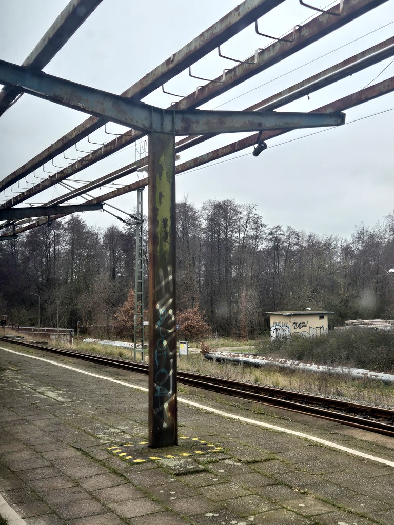 Storch_i tweet media