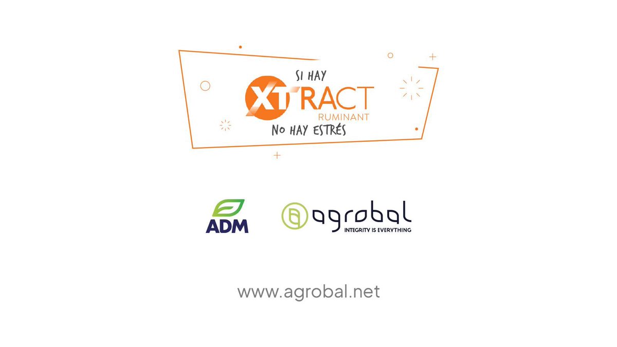 agrobaluy's tweet photo. Evitá el estrés calórico en tu ganado con Xtract Ruminant🐄☀️
Este aditivo natural reduce sus efectos negativos en bovinos, mejora sus procesos fisiológicos y aumenta su producción de leche.
¡Potenciá tu producción! 💪
Si hay Xtract, no hay estrés. 
#Xtractruminant https://t.co/LEIj8MCn7v