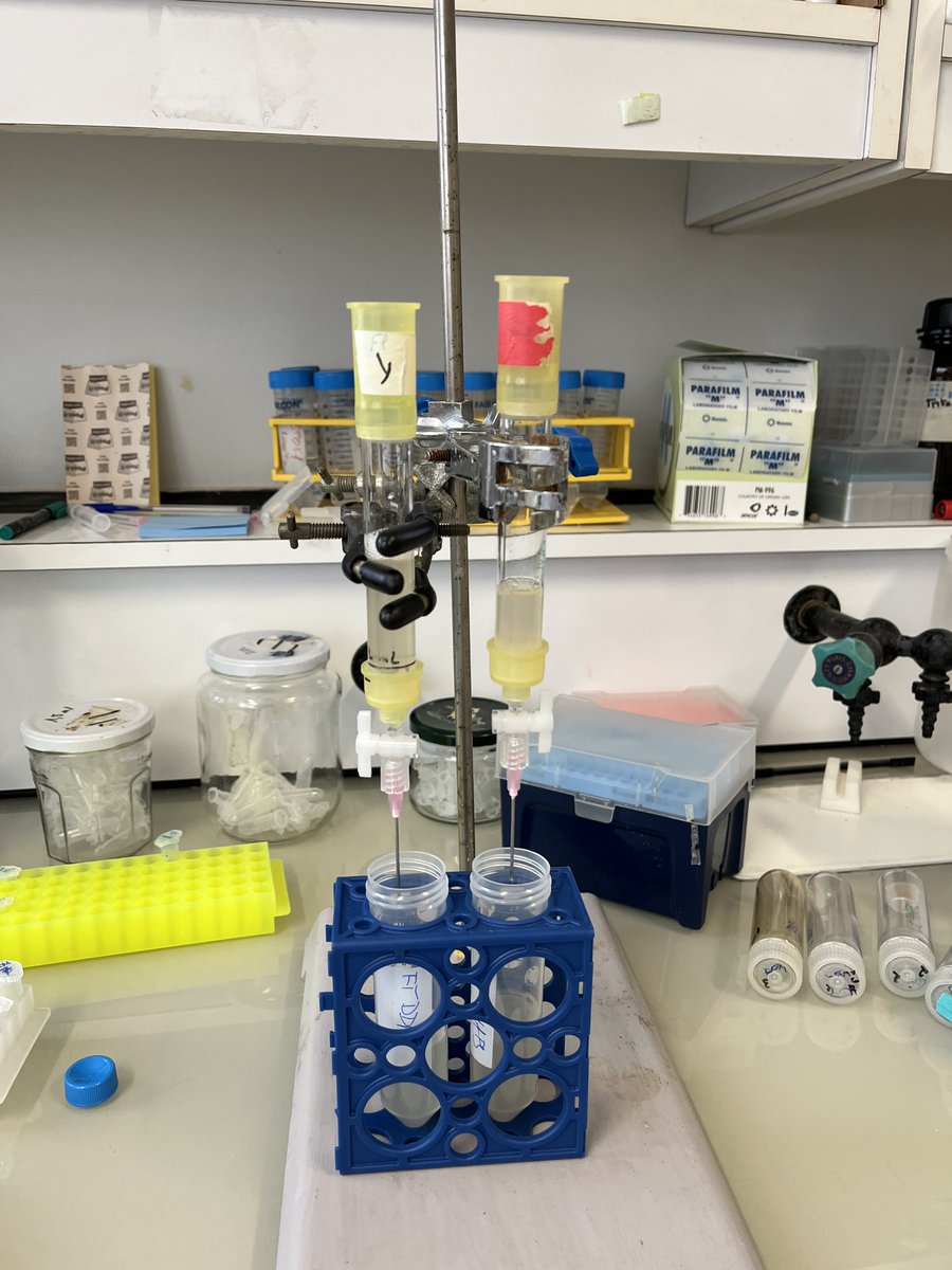 Bryjalab (@bryjalab) on Twitter photo Our talented PhD student, Miroslav Micka, is now completing his internship at @IGF_Montpellier! 🎉 We’re deeply grateful to the <a href="/GranierMouillac/">Granier-Mouillac-Lab</a> lab for hosting him and sharing essential expertise in purifying membrane proteins from insect cells—a vital skill for our project. 🧑🔬 Our talented PhD student, Miroslav Micka, is now completing his internship at @IGF_Montpellier! 🎉 We’re deeply grateful to the <a href="/GranierMouillac/">Granier-Mouillac-Lab</a> lab for hosting him and sharing essential expertise in purifying membrane proteins from insect cells—a vital skill for our project. 🧑🔬