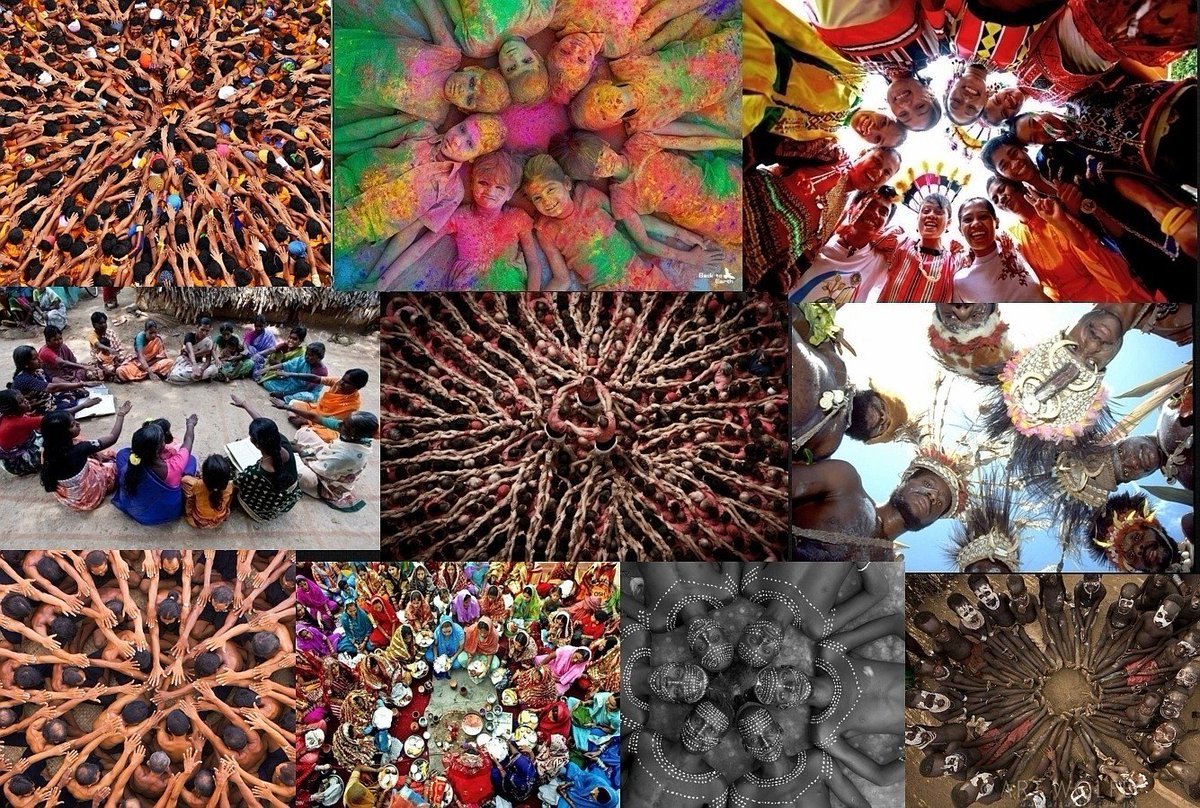 Antropóloga luna tweet media