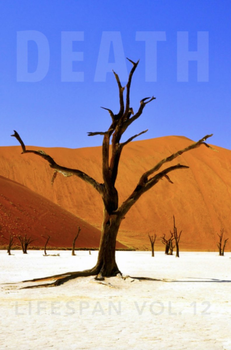 Robey Huddlestone Phillips tweet media