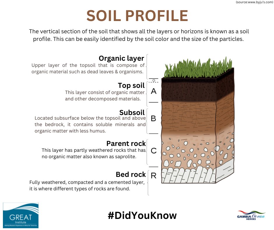 From the fertile topsoil to the compacted bedrock, the soil profile reveals the foundation of the ecosystems.

#GreatInstitute #SoilHealth #SoilProfile #Ecosystem