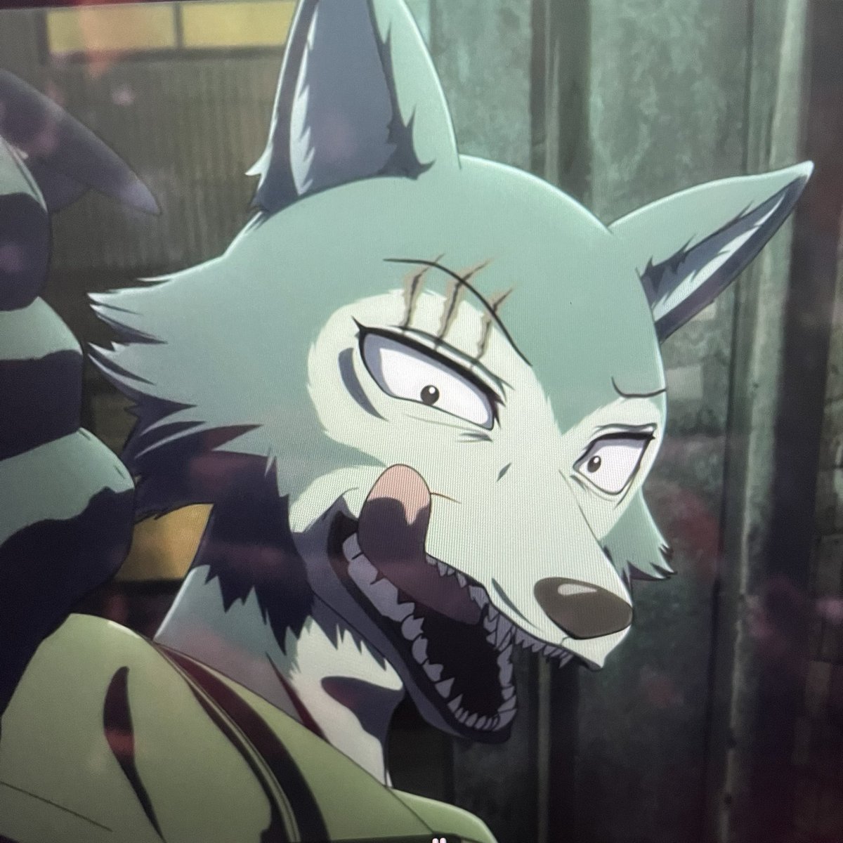Rei_ndrops's tweet photo. Beastars s3 scene redraw. 

It’s not that I dislike the animation but it does lose some character that the manga has! https://t.co/PFCiKYjjQv