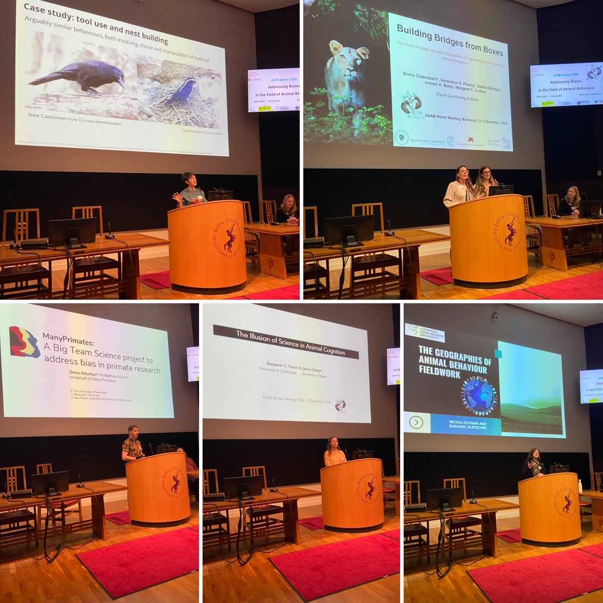 Great Day 2 talks by Sally Street, Genevieve Finerty, Natalia Borrego, Drew Altschul, Matthias Altritz, Ljerka Ostojic &amp; Nicola Koyama🪺🦁🐒🧠🌏

We covered anthropocentrism, understudied populations, traditional knowledge, Many Primates, pluralism &amp; inclusivity #ASABWinter2024