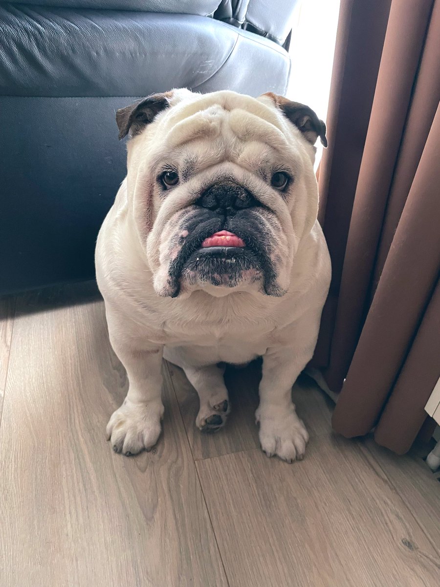 Happy Friday friends, can I get a boop please?💚