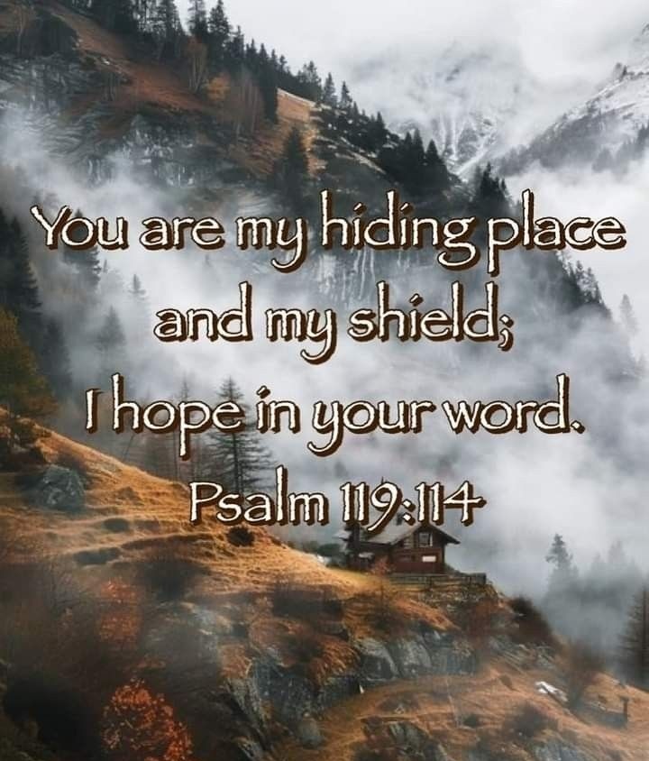You are my hiding place and my shield;
I hope in Your word.

Psalm 119:114