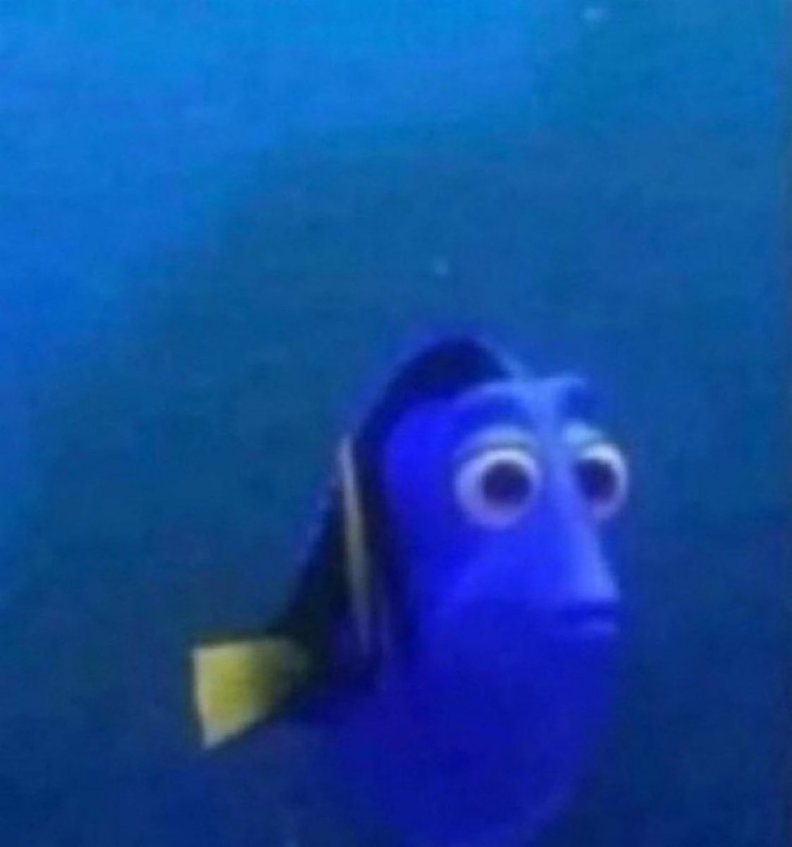 What is your research about?

Me: