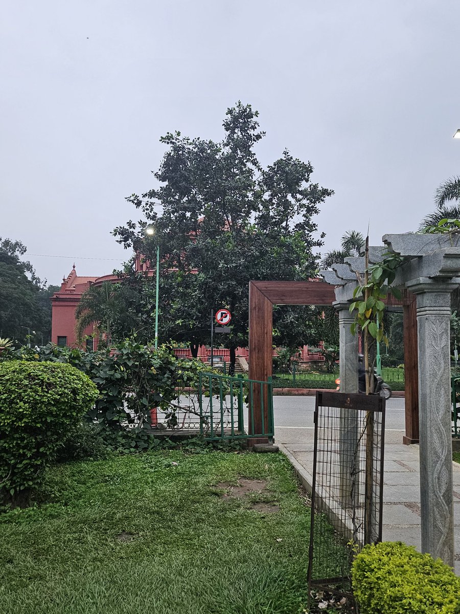 abusulayman's tweet photo. In love with #BGLR, #India.
The best December weather EVER
#Bangalore https://t.co/9Cx88am6mk