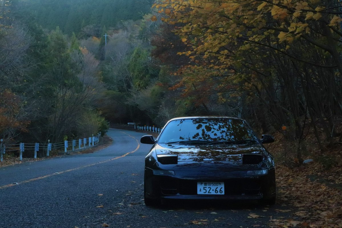 🍂🍁