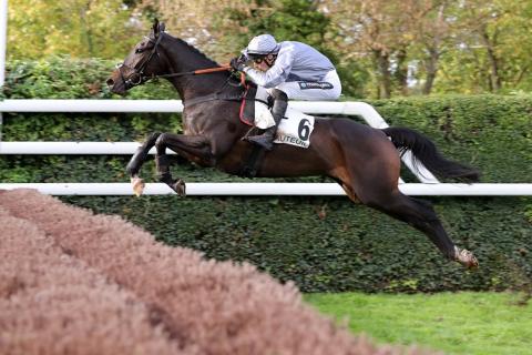 FRBC (@frbc_official) on Twitter photo If all goes well, Il Est Français should run in the King George on the 26th December with his stablemate Général En Chef 🗓️🇫🇷
He had a very successful run at <a href="/kemptonparkrace/">Kempton Park Racecourse</a> last year. Let's hope for another Group 1 win🏆🤩
#TraininFrance #OwninFrance If all goes well, Il Est Français should run in the King George on the 26th December with his stablemate Général En Chef 🗓️🇫🇷
He had a very successful run at <a href="/kemptonparkrace/">Kempton Park Racecourse</a> last year. Let's hope for another Group 1 win🏆🤩
#TraininFrance #OwninFrance